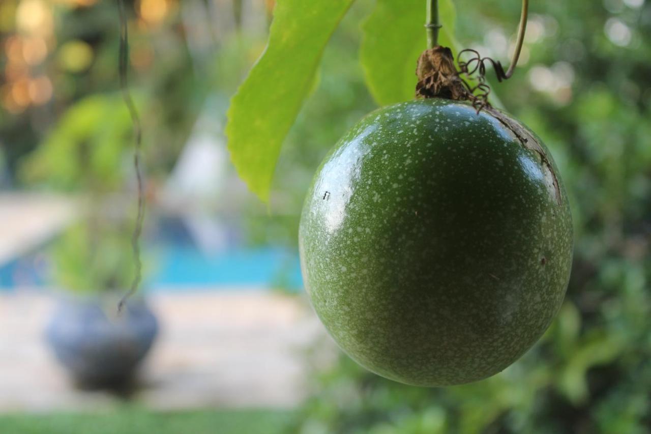 Hostel Tropico De Capricornio - Tenorio อูบาตูบา ภายนอก รูปภาพ